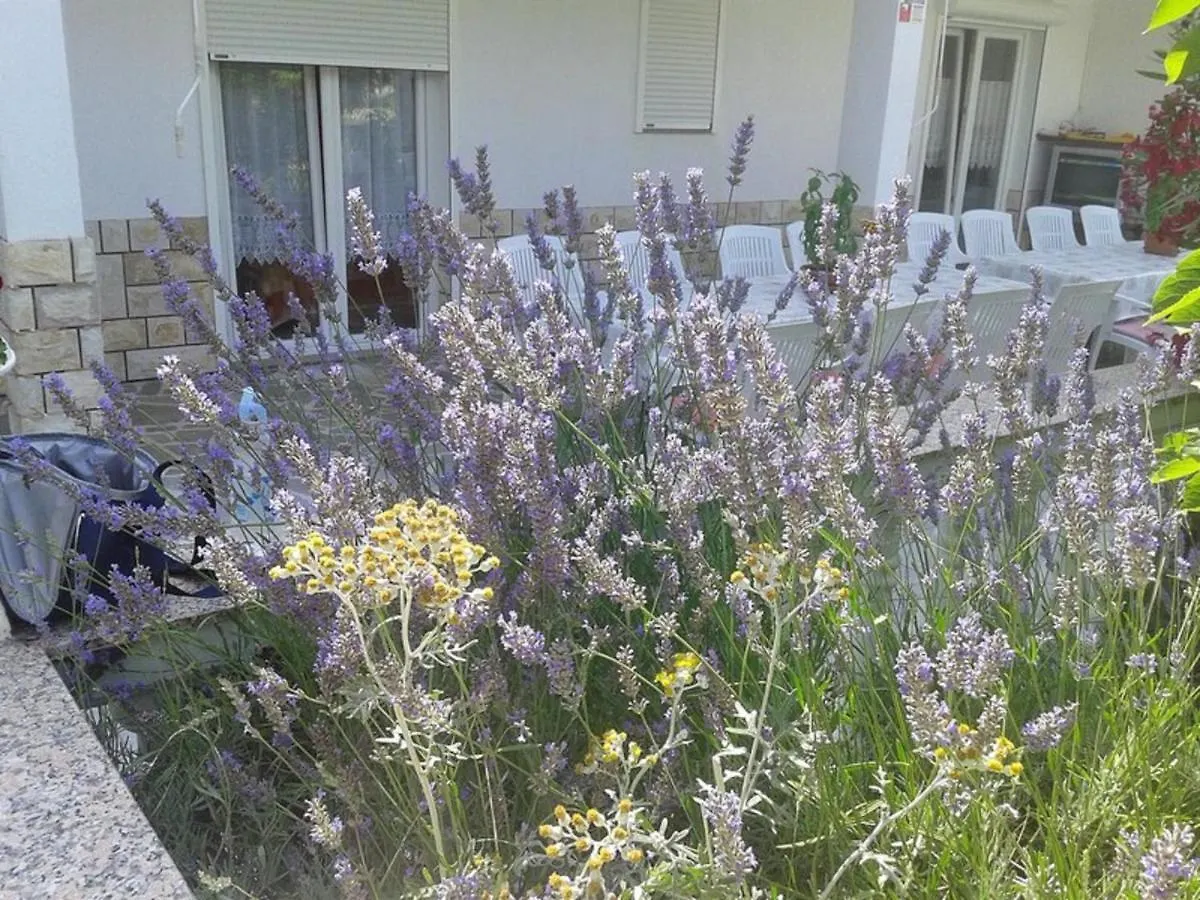 Lovely Meta Apartments Palit